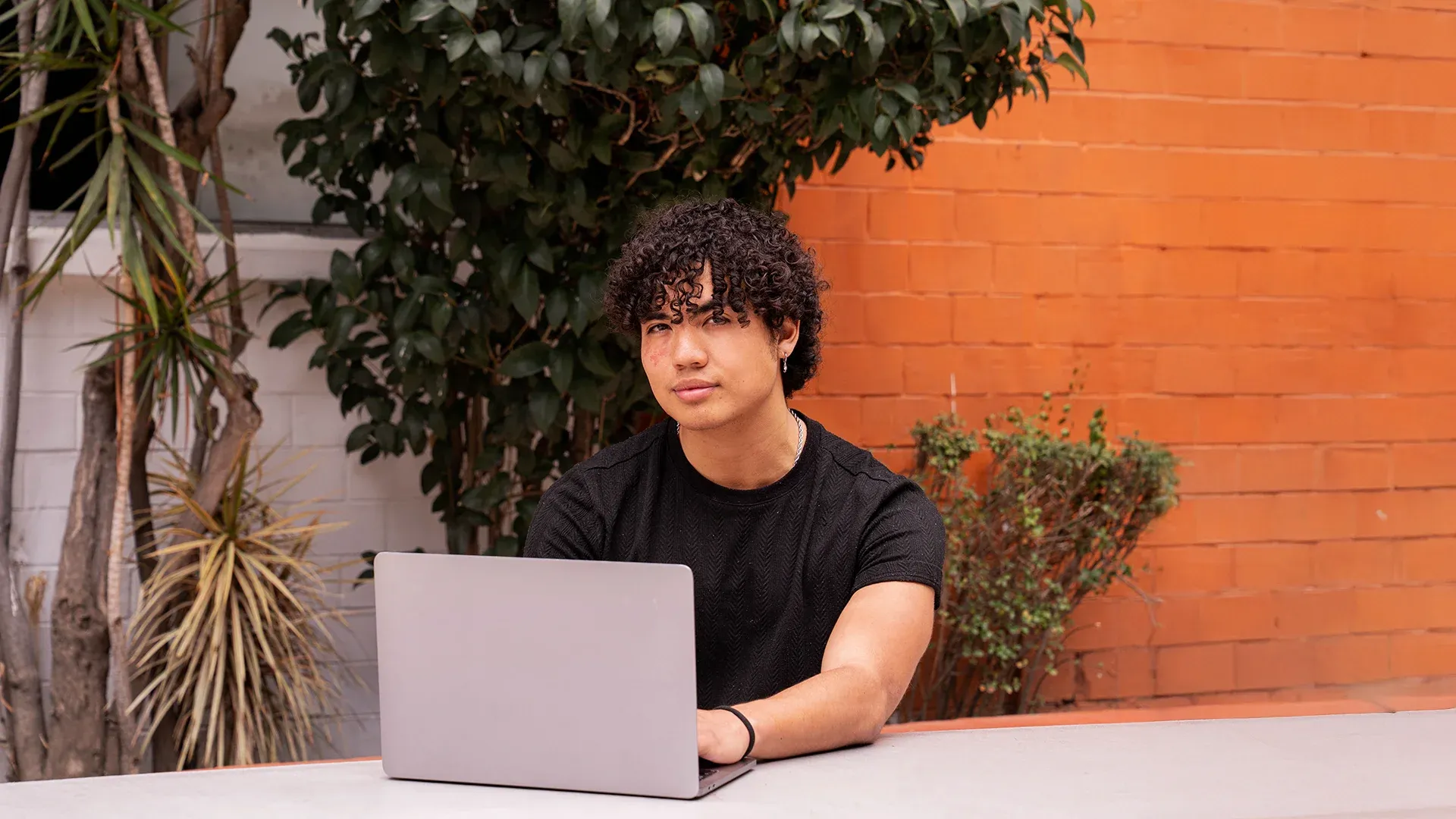 Licenciatura en Diseño Gráfico