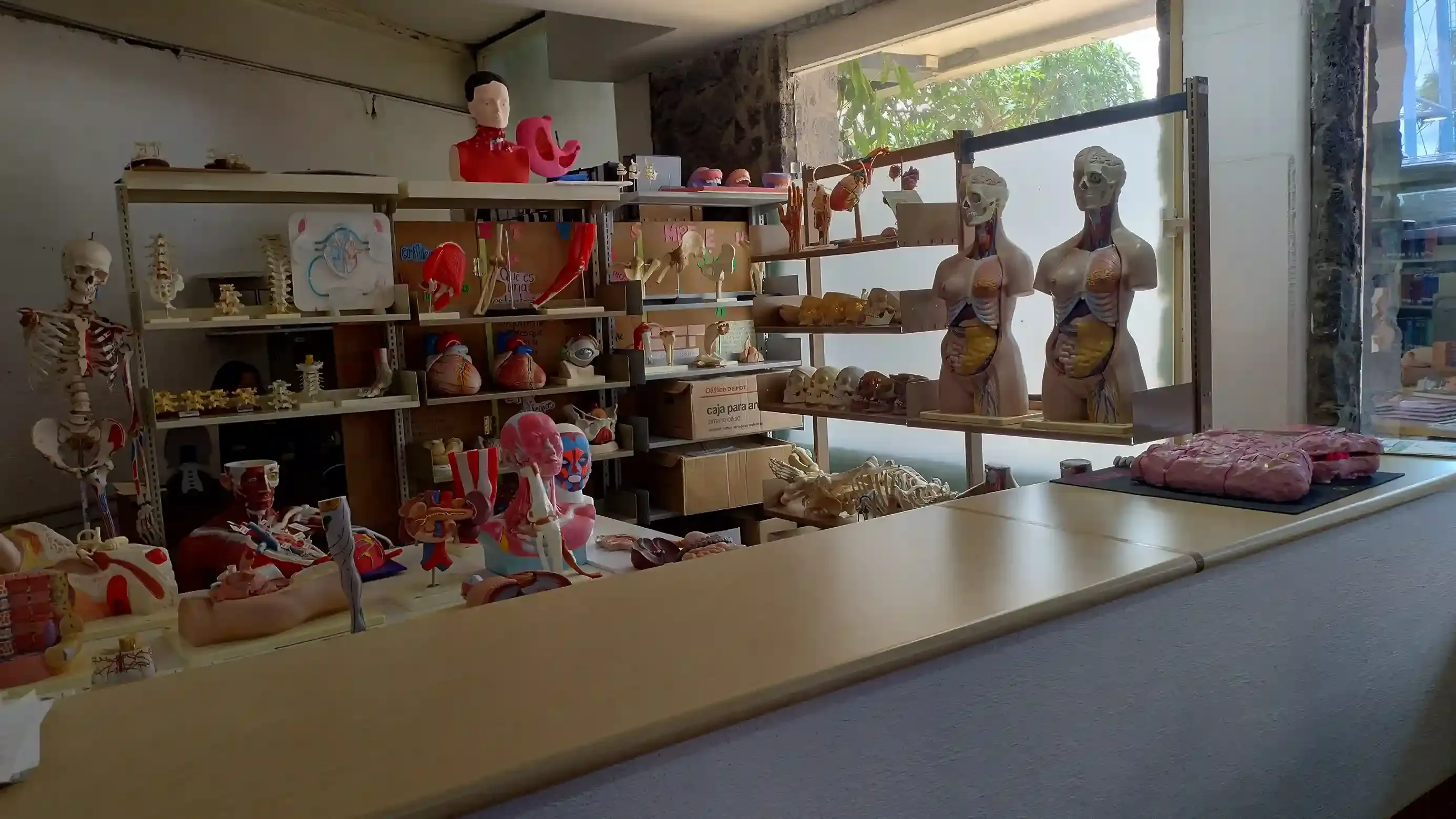 ¿Qué aprenderás en la Licenciatura en Medicina?